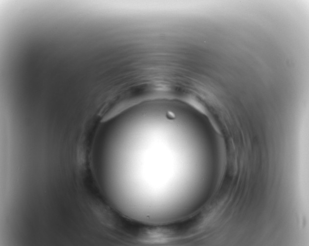 X0000089450268200706221252