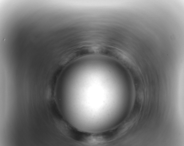 X0000089450270200706221252