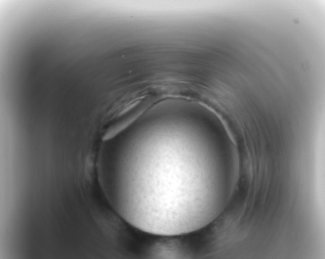 X0000089450271200706221252
