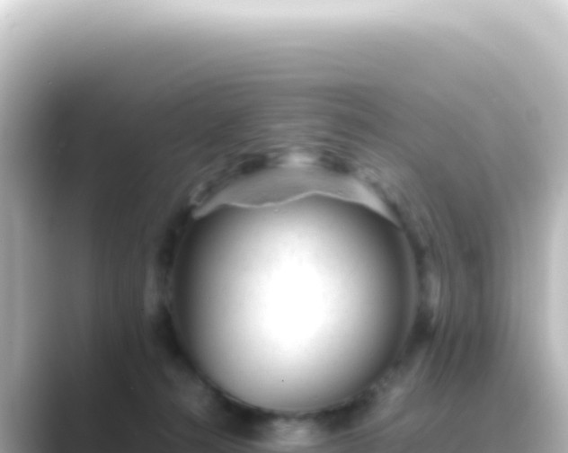 X0000089450272200706221252