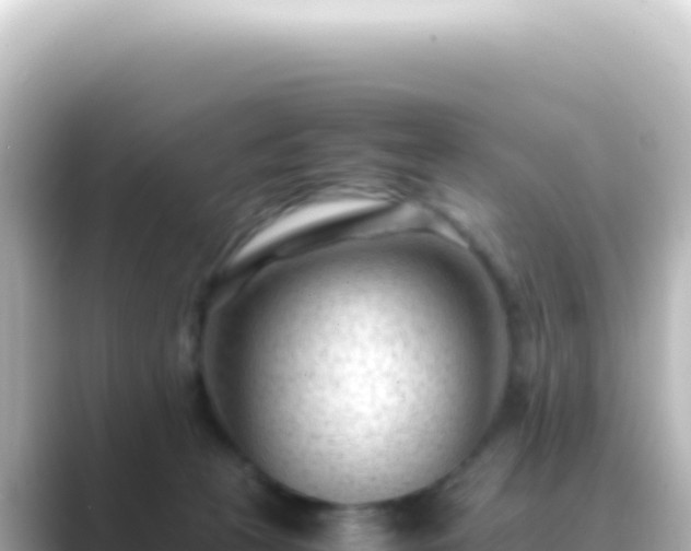 X0000089450273200706221252