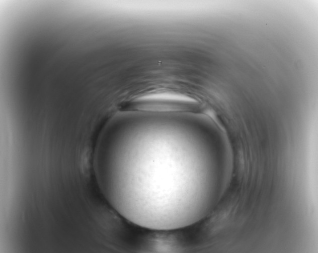 X0000089450275200706221252