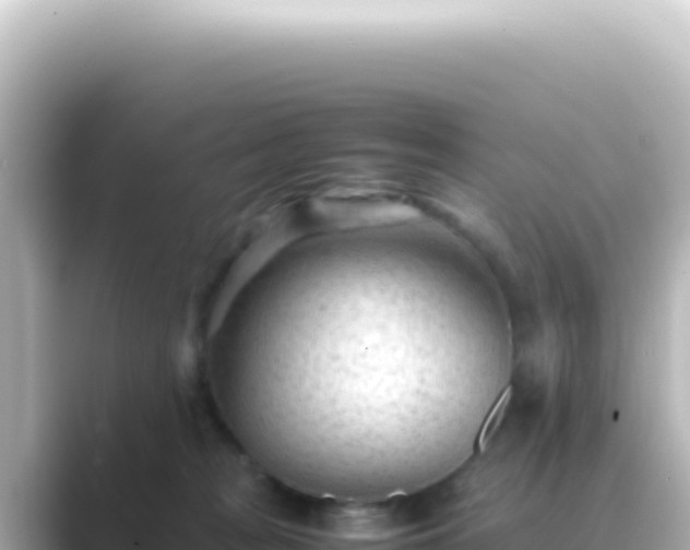 X0000089450277200706221252