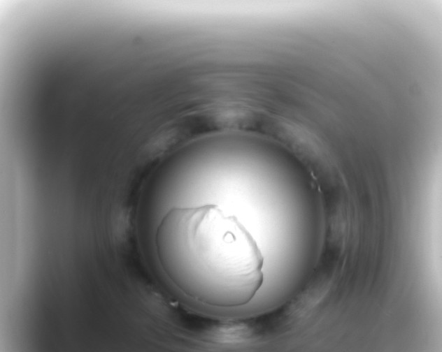 X0000089450278200706221252