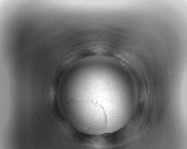 X0000089450279200706221252