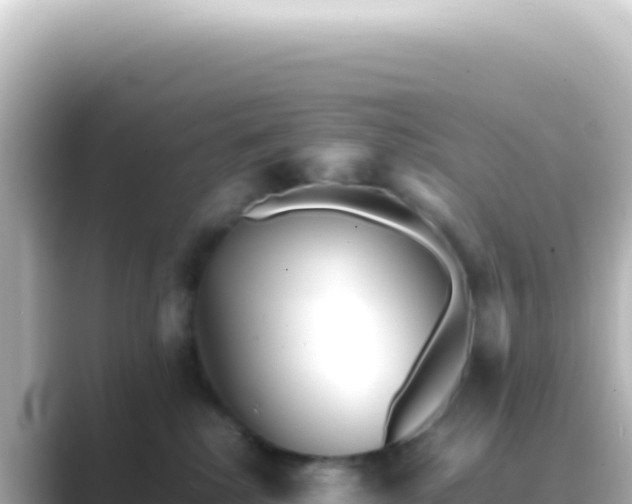 X0000089450280200706221252