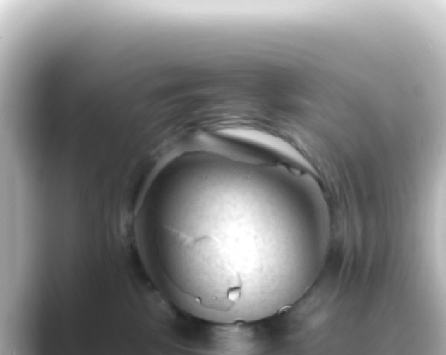 X0000089450281200706221252