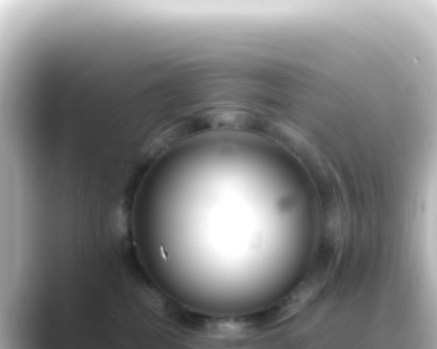 X0000089450282200706221252