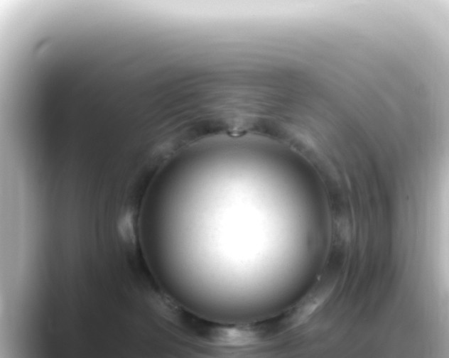X0000089450286200706221252