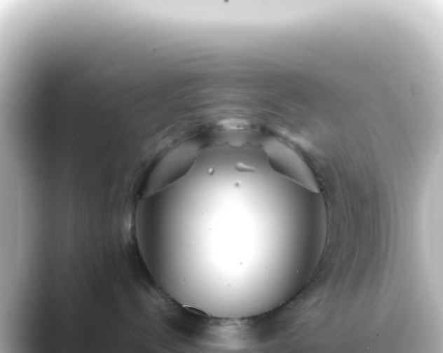 X0000089450288200706221252