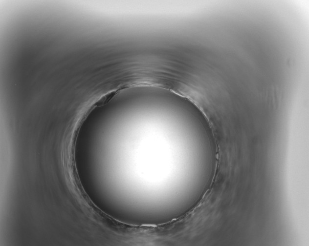 X0000089450289200706221252