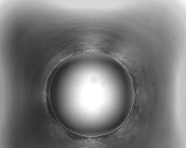 X0000089450290200706221252