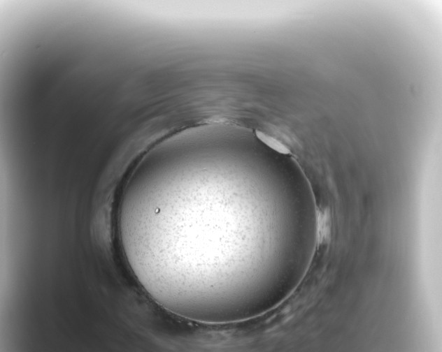 X0000089450291200706221252