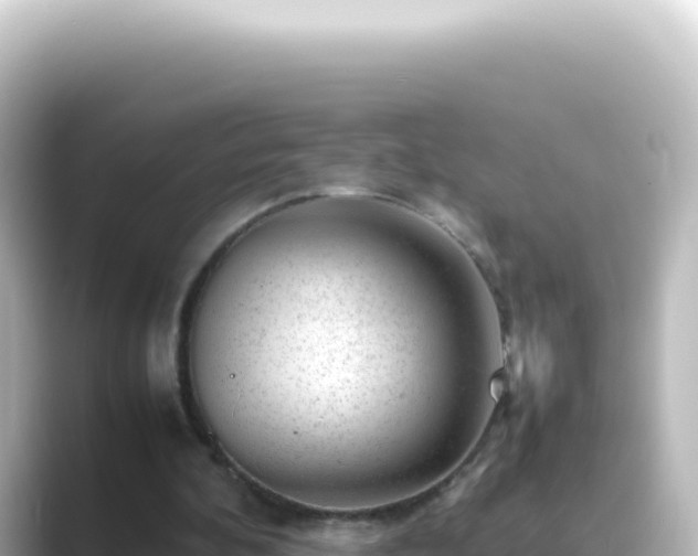 X0000089450292200706221252