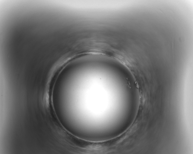 X0000089450294200706221252