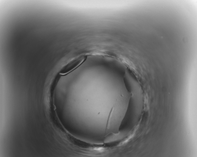 X0000089450295200706221252
