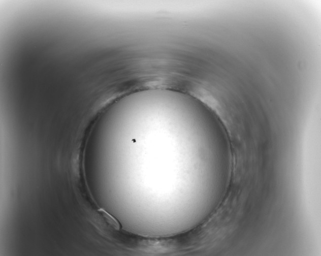 X0000089450297200706221252