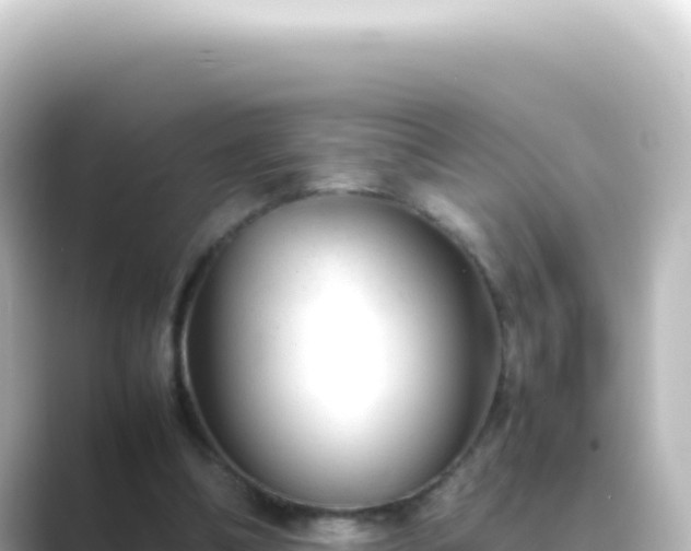X0000089450298200706221252