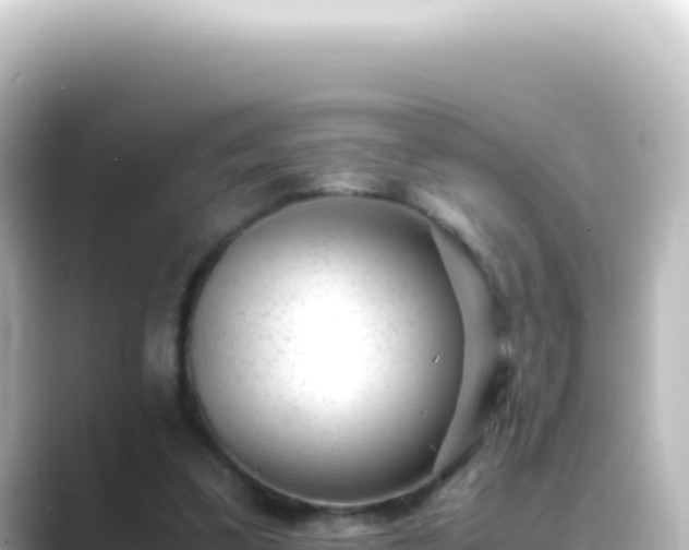 X0000089450299200706221252