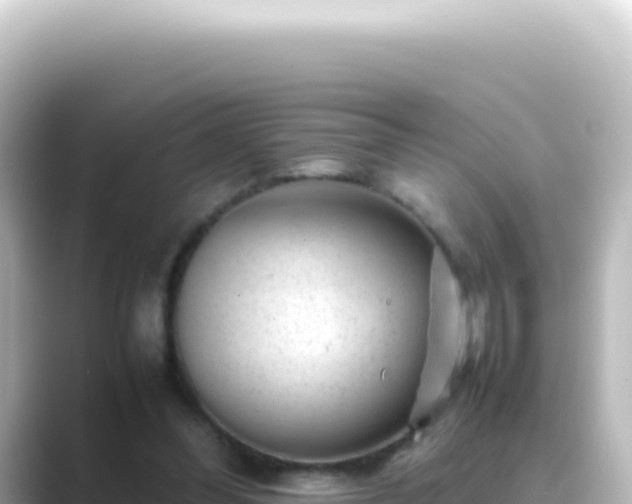 X0000089450300200706221252