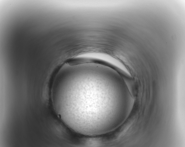 X0000089450303200706221252