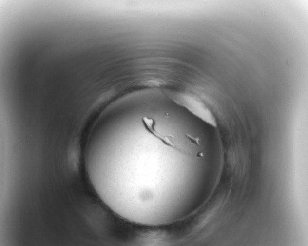 X0000089450304200706221252