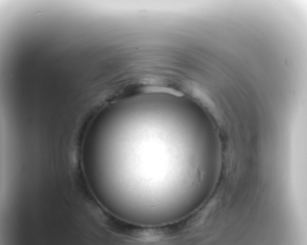 X0000089450305200706221252