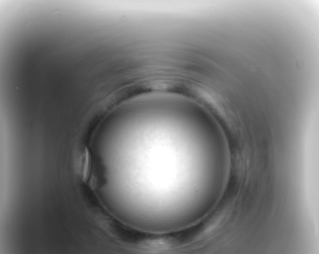 X0000089450307200706221252