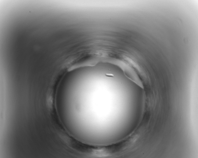 X0000089450309200706221252