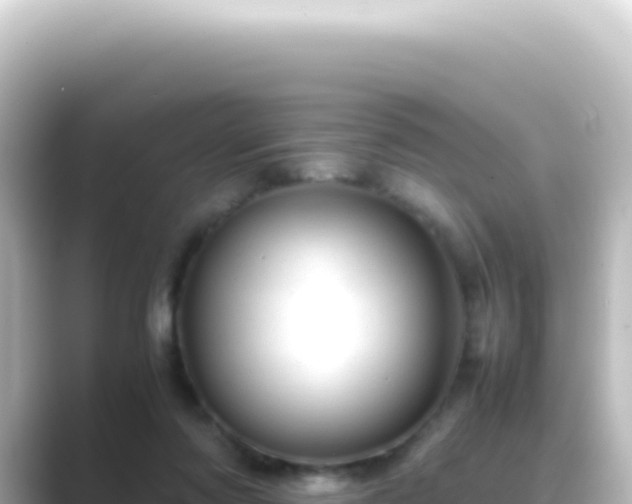 X0000089450310200706221252