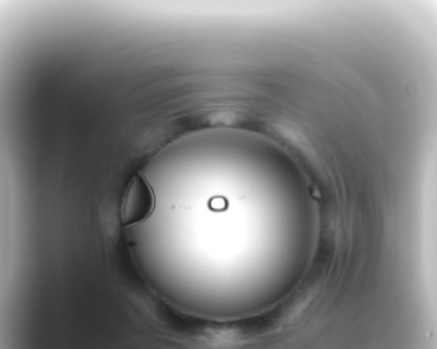 X0000089450311200706221252
