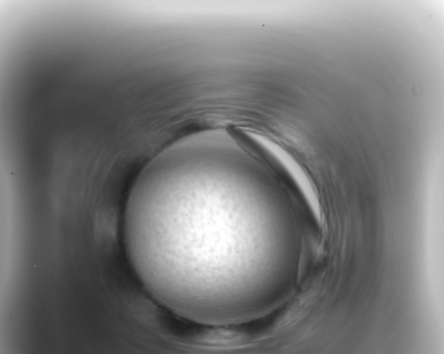 X0000089450315200706221252