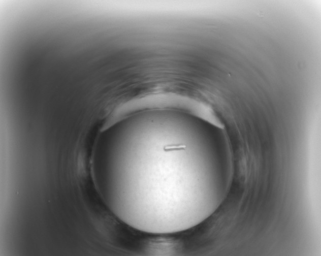 X0000089450316200706221252