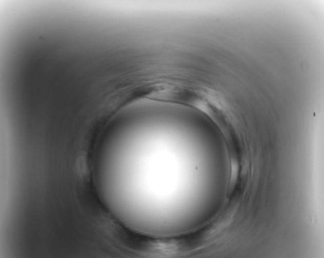 X0000089450317200706221252