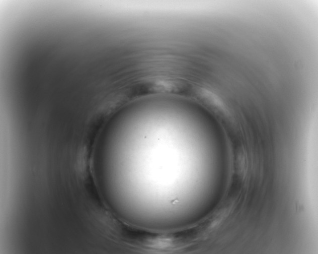 X0000089450318200706221252