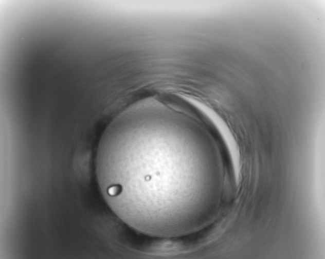 X0000089450319200706221252
