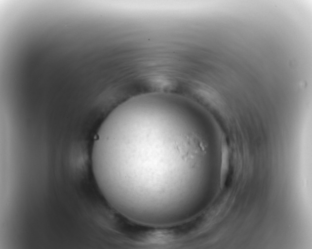 X0000089450320200706221252