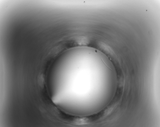 X0000089450321200706221252