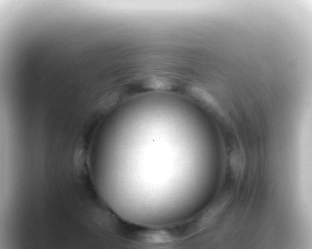 X0000089450322200706221252