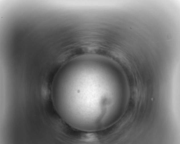 X0000089450324200706221251