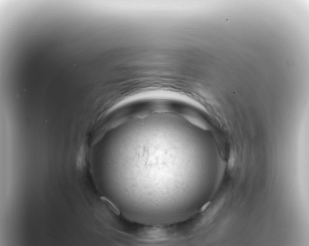 X0000089450325200706221251