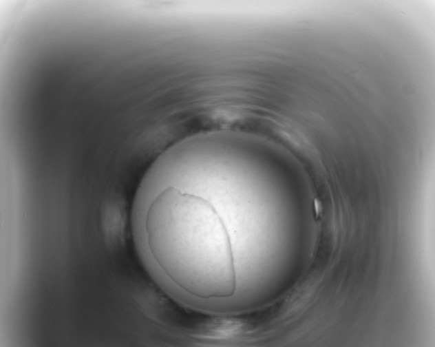 X0000089450328200706221251