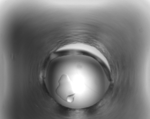 X0000089450329200706221251