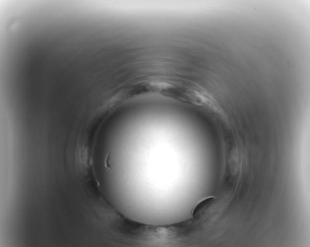 X0000089450330200706221251