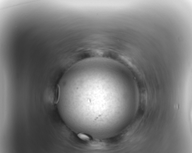 X0000089450331200706221251
