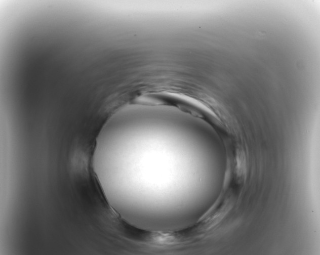 X0000089450333200706221251