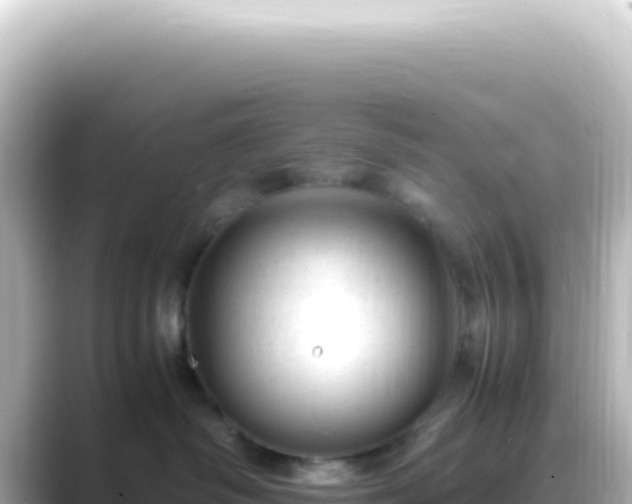 X0000089450334200706221251