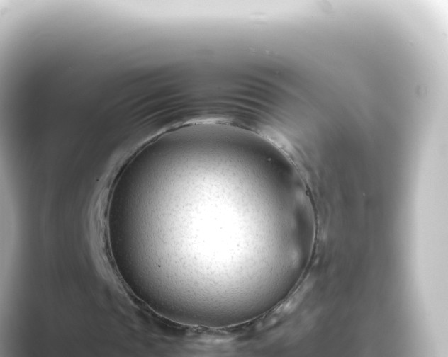 X0000089450337200706221251