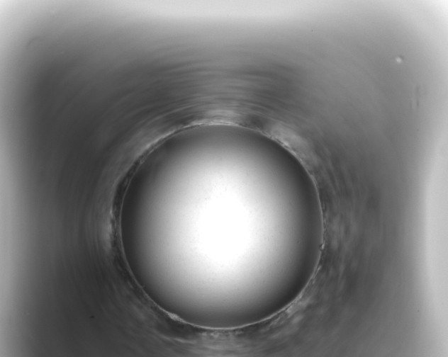 X0000089450338200706221251