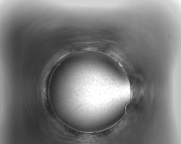 X0000089450339200706221251
